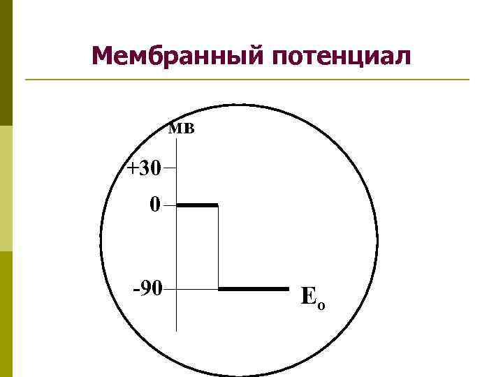 Мембранный потенциал мв +30 0 -90 Ео 