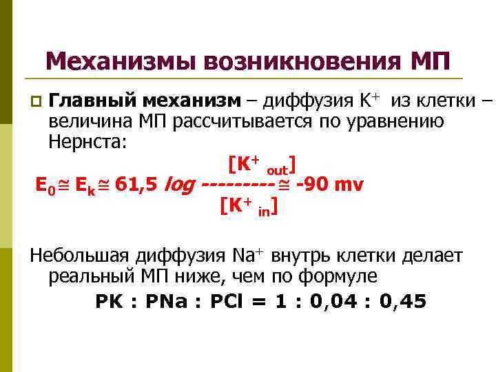 Механизмы возникновения МП Главный механизм – диффузия K+ из клетки – величина МП рассчитывается