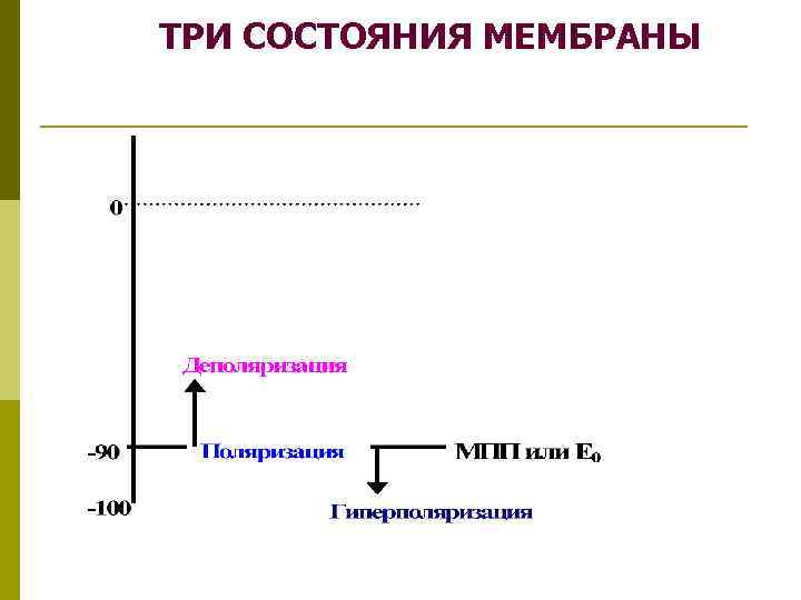 ТРИ СОСТОЯНИЯ МЕМБРАНЫ 