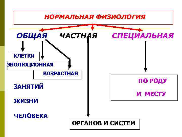 НОРМАЛЬНАЯ ФИЗИОЛОГИЯ ОБЩАЯ ЧАСТНАЯ СПЕЦИАЛЬНАЯ КЛЕТКИ ЭВОЛЮЦИОННАЯ ВОЗРАСТНАЯ ПО РОДУ ЗАНЯТИЙ И МЕСТУ ЖИЗНИ