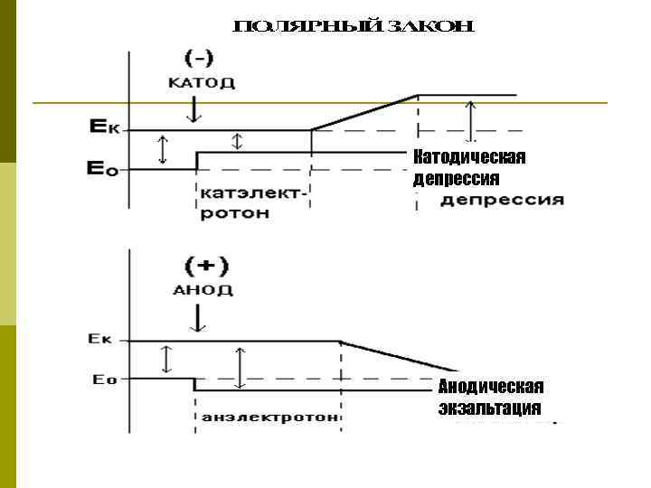 Катодическая депрессия Анодическая экзальтация 