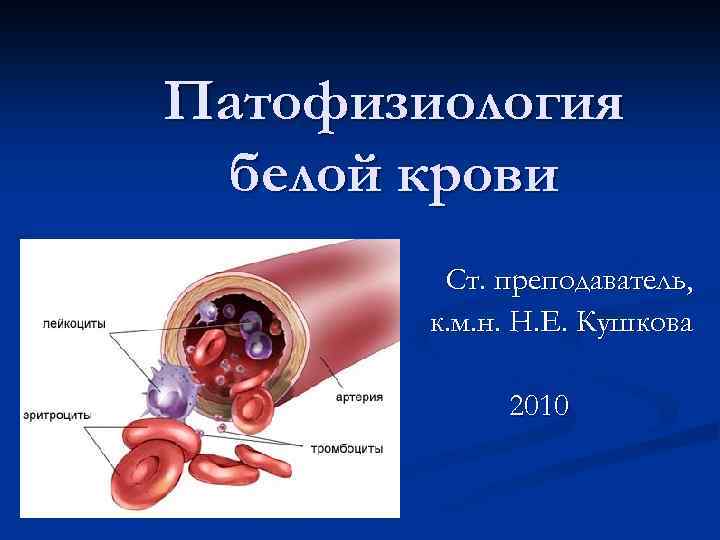 Патология белой крови патофизиология презентация