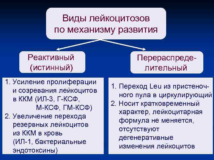 Виды лейкоцитозов по механизму развития Реактивный (истинный) 1. Усиление пролиферации и созревания лейкоцитов в