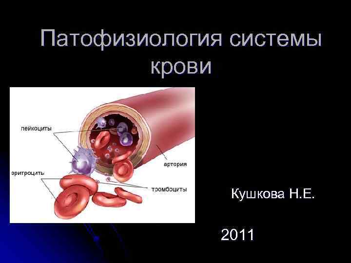 Патофизиология системы крови Кушкова Н. Е. 2011 