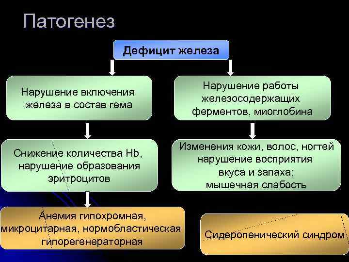 Патогенез Дефицит железа Нарушение работы железосодержащих ферментов, миоглобина Нарушение включения железа в состав гема
