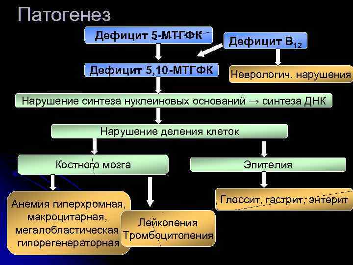 Патогенез Дефицит 5 -МТГФК Дефицит 5, 10 -МТГФК Дефицит В 12 Неврологич. нарушения Нарушение