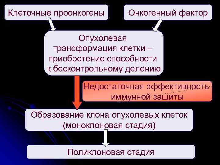 Клеточные проонкогены Онкогенный фактор Опухолевая трансформация клетки – приобретение способности к бесконтрольному делению Недостаточная