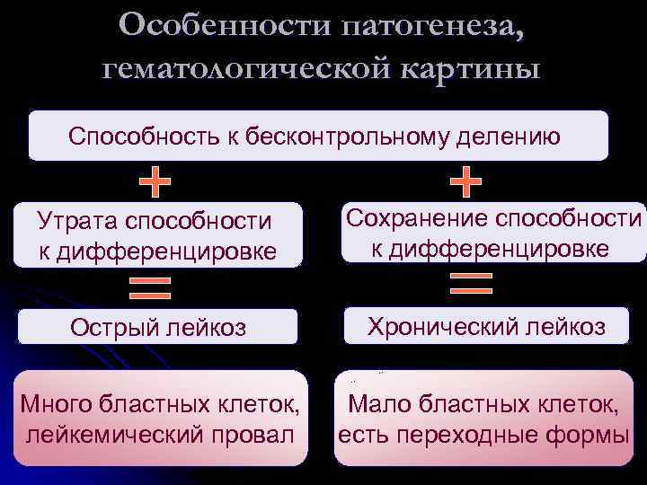 Особенности патогенеза, гематологической картины Способность к бесконтрольному делению Утрата способности к дифференцировке Сохранение способности
