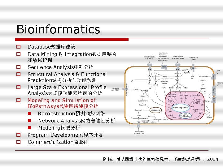 Bioinformatics o o o o Database数据库建设 Data Mining & Integration数据库整合 和数据挖掘 Sequence Analysis序列分析 Structural