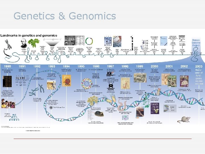 Genetics & Genomics 