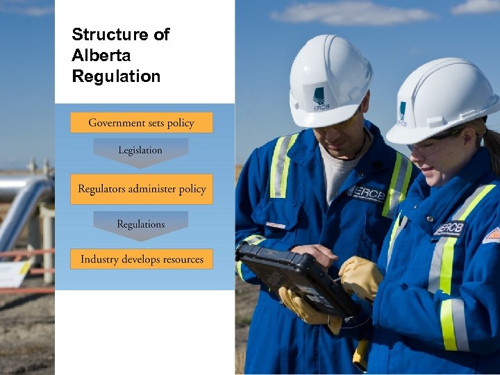 Structure of Alberta Regulation 