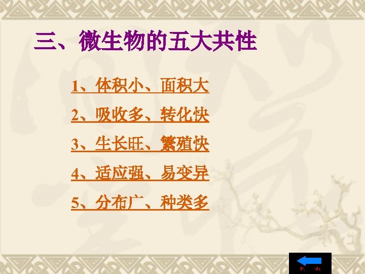 三、微生物的五大共性 1、体积小、面积大 2、吸收多、转化快 3、生长旺、繁殖快 4、适应强、易变异 5、分布广、种类多 