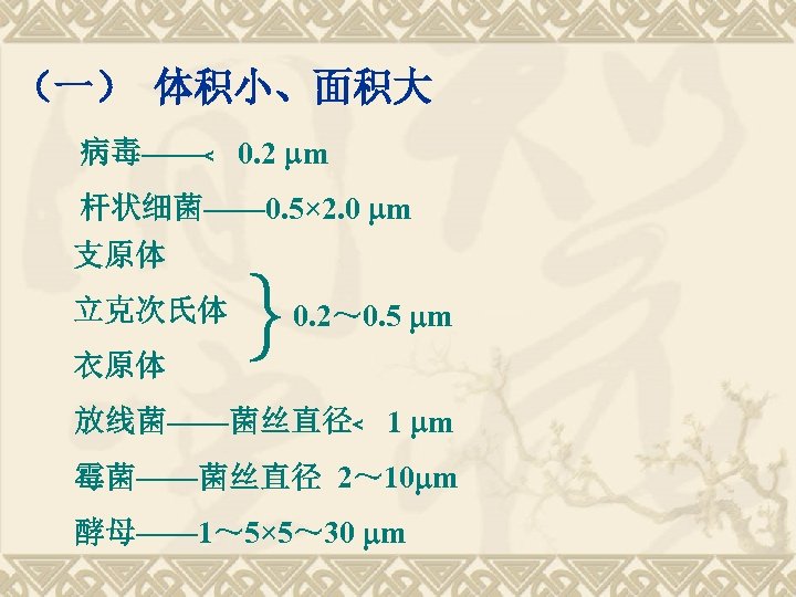 （一） 体积小、面积大 病毒——﹤ 0. 2 m 杆状细菌—— 0. 5× 2. 0 m 支原体 立克次氏体