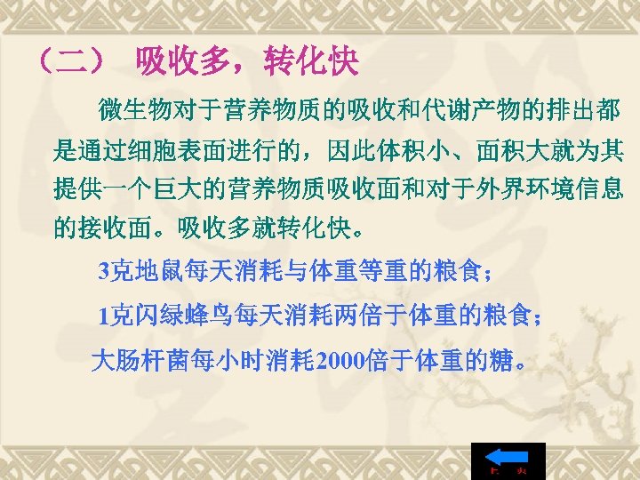 （二） 吸收多，转化快 微生物对于营养物质的吸收和代谢产物的排出都 是通过细胞表面进行的，因此体积小、面积大就为其 提供一个巨大的营养物质吸收面和对于外界环境信息 的接收面。吸收多就转化快。 3克地鼠每天消耗与体重等重的粮食； 1克闪绿蜂鸟每天消耗两倍于体重的粮食； 大肠杆菌每小时消耗 2000倍于体重的糖。 
