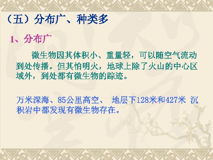 （五）分布广、种类多 1、分布广 微生物因其体积小、重量轻，可以随空气流动 到处传播。但其怕明火，地球上除了火山的中心区 域外，到处都有微生物的踪迹。 万米深海、85公里高空、 地层下128米和427米 沉 积岩中都发现有微生物存在。 