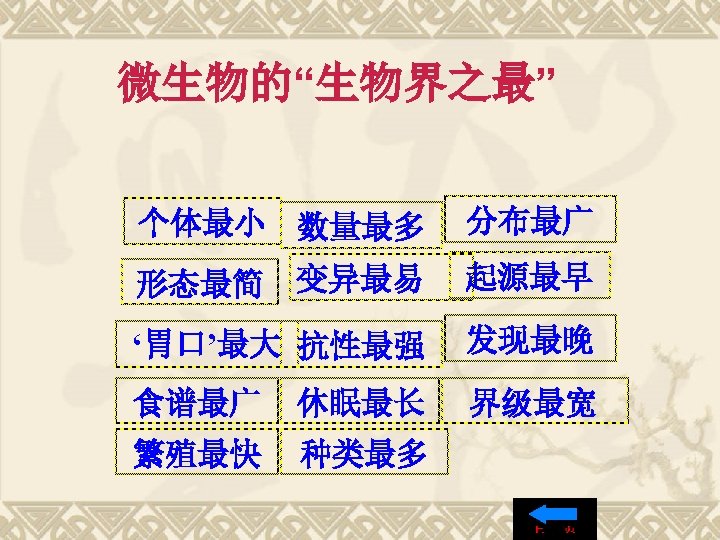 微生物的“生物界之最” 个体最小 数量最多 分布最广 变异最易 起源最早 ‘胃口’最大 抗性最强 发现最晚 食谱最广 休眠最长 界级最宽 繁殖最快 种类最多
