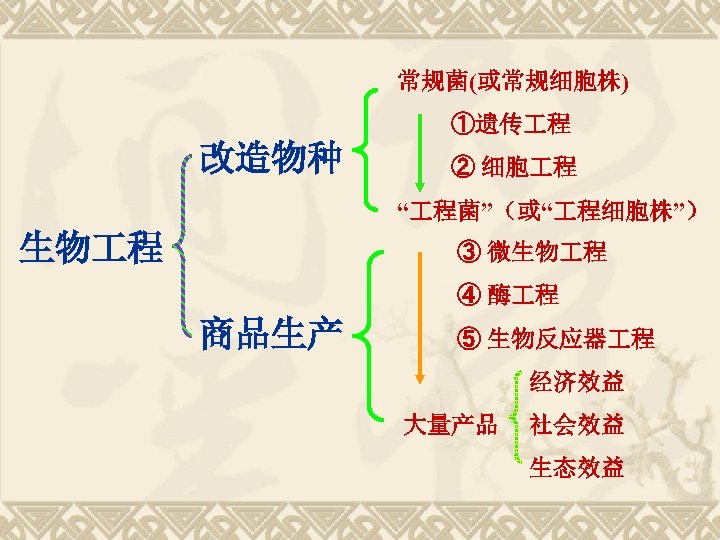 常规菌(或常规细胞株) ①遗传 程 改造物种 ② 细胞 程 “ 程菌”（或“ 程细胞株”） 生物 程 ③ 微生物