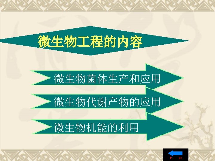 微生物 程的内容 微生物菌体生产和应用 微生物代谢产物的应用 微生物机能的利用 