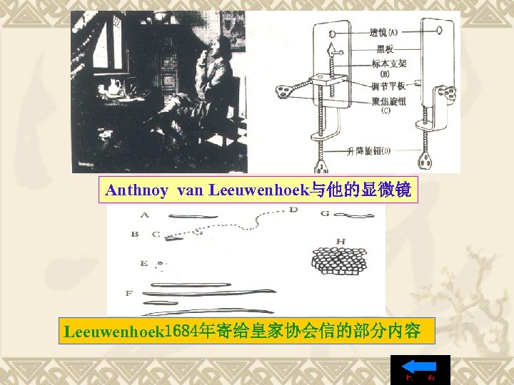 Anthnoy van Leeuwenhoek与他的显微镜 Leeuwenhoek 1684年寄给皇家协会信的部分内容 