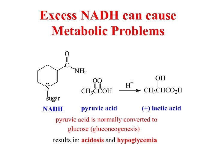 Excess NADH can cause Metabolic Problems 