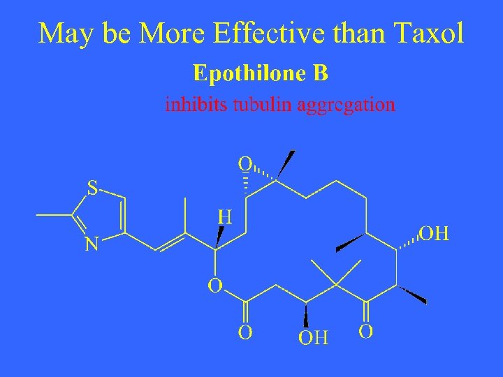 May be More Effective than Taxol 