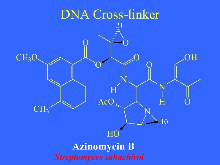 DNA Cross-linker 