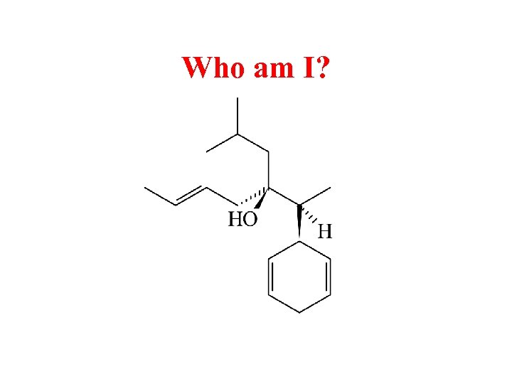 Who am I? 