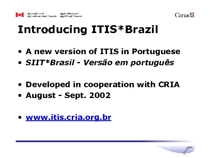 Introducing ITIS*Brazil • A new version of ITIS in Portuguese • SIIT*Brasil - Versão