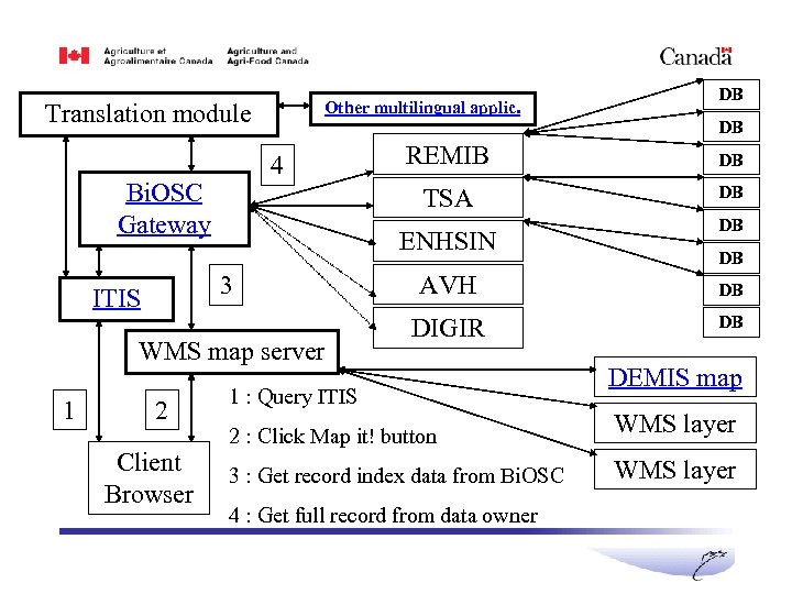 Translation module ITIS/Bi. OSC Data flow diagram Other multilingual applic. 3 2 Client Browser