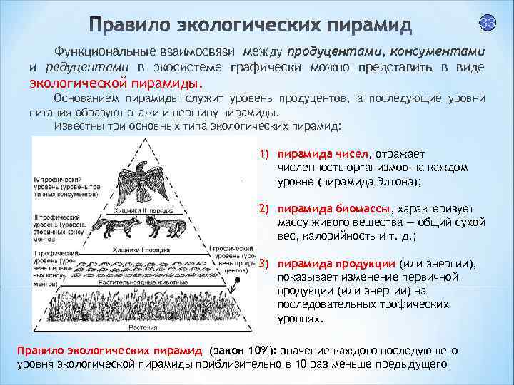 Графическое изображение соотношения между продуцентами