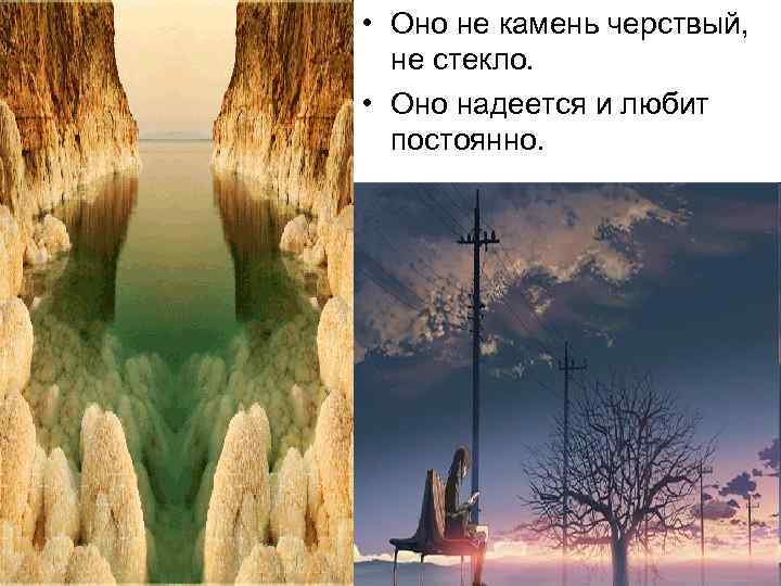  • Оно не камень черствый, не стекло. • Оно надеется и любит постоянно.