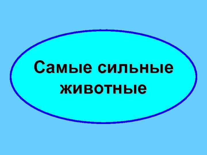 Самые сильные животные 