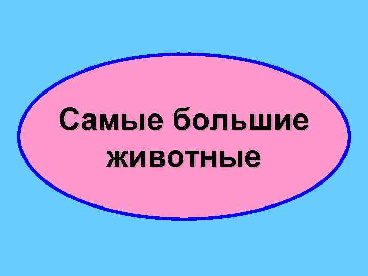 Самые большие животные 