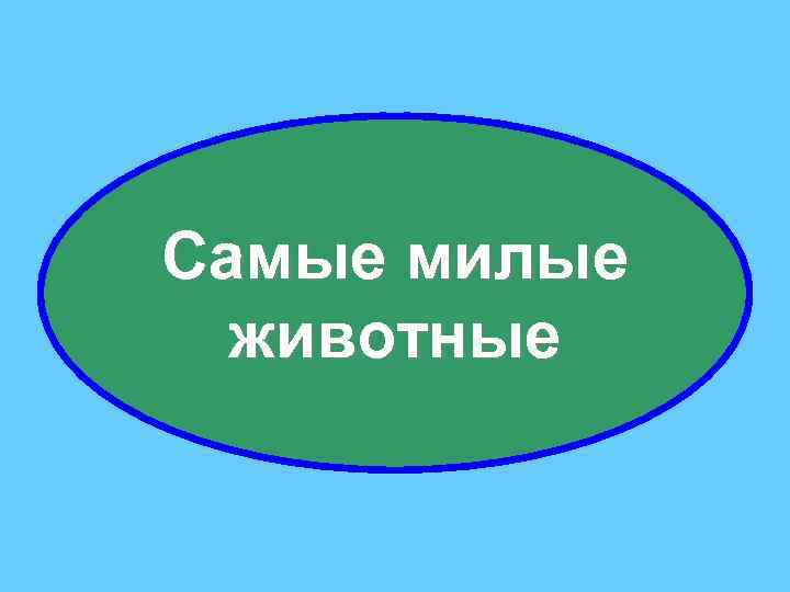 Самые милые животные 