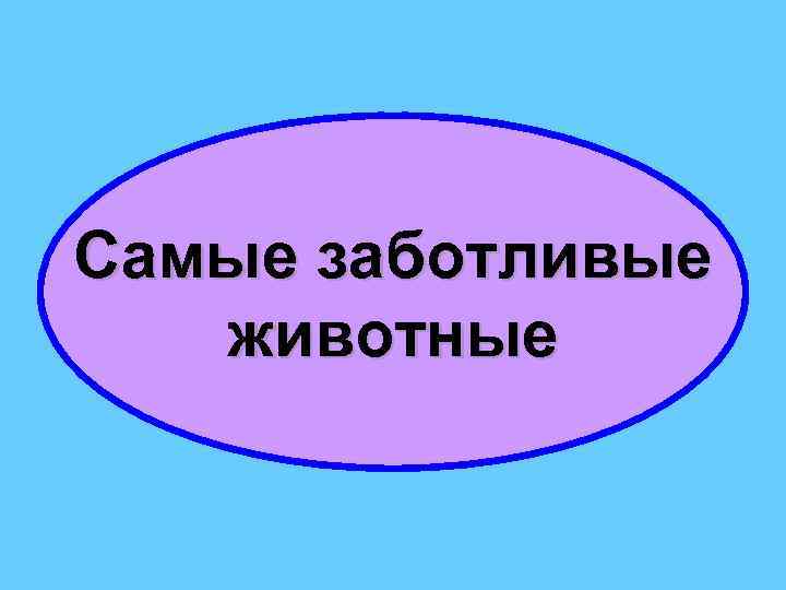 Самые заботливые животные 