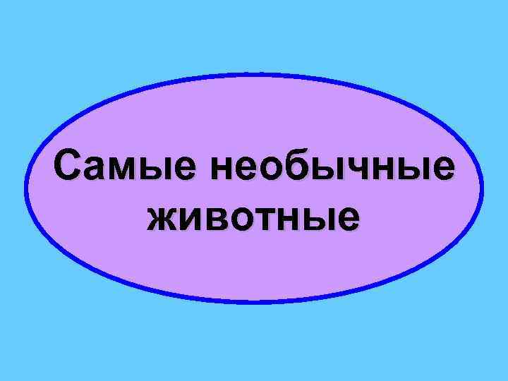 Самые необычные животные 