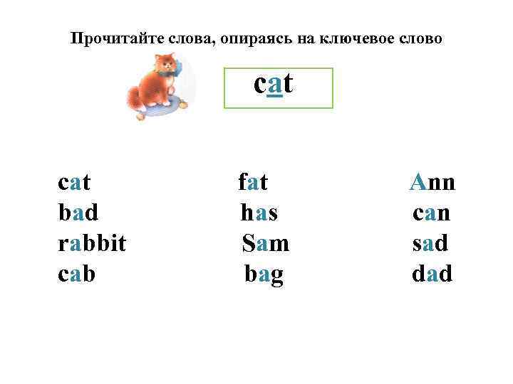 Прочитайте слова, опираясь на ключевое слово cat bad rabbit cab fat has Sam bag