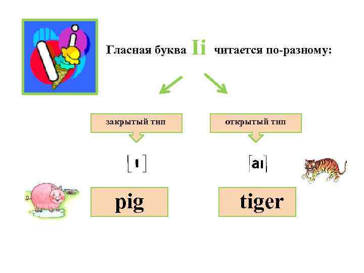 Гласная буква закрытый тип pig Ii читается по-разному: открытый тип tiger 
