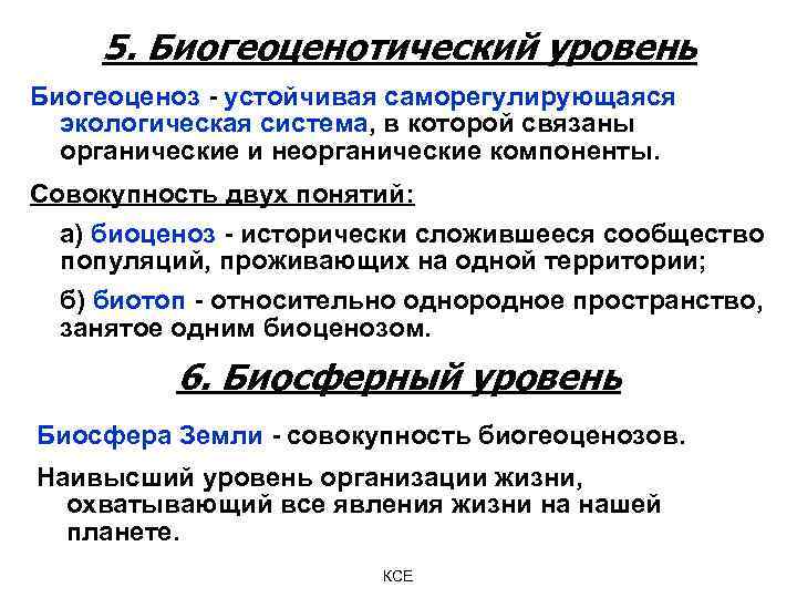 5. Биогеоценотический уровень Биогеоценоз - устойчивая саморегулирующаяся экологическая система, в которой связаны органические и