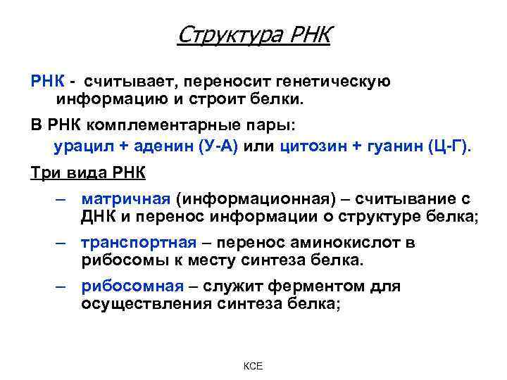 Структура РНК - считывает, переносит генетическую информацию и строит белки. В РНК комплементарные пары: