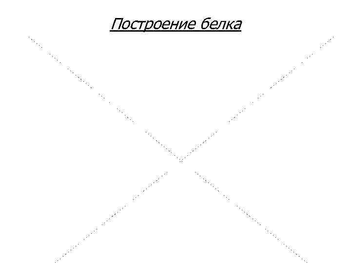 Построение белка КСЕ 