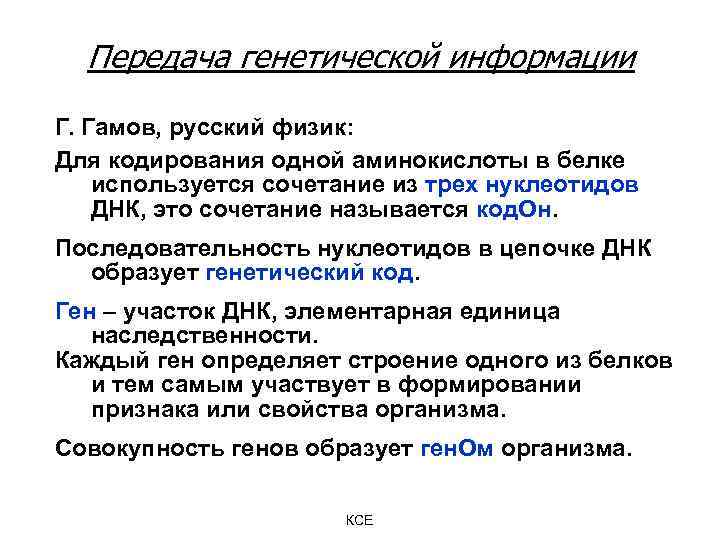 Передача генетической информации Г. Гамов, русский физик: Для кодирования одной аминокислоты в белке используется