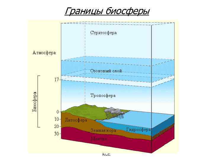 Границы биосферы КСЕ 