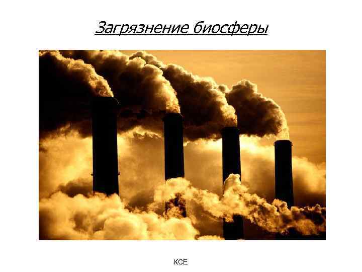 Загрязнение биосферы КСЕ 