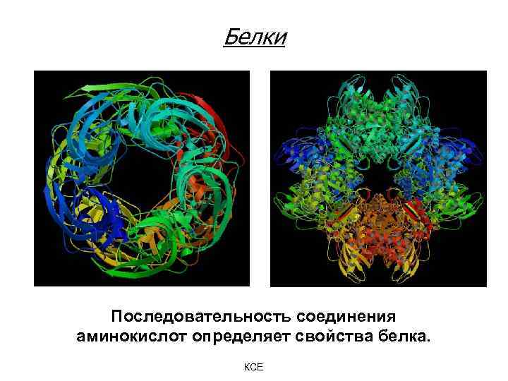 Белки Последовательность соединения аминокислот определяет свойства белка. КСЕ 