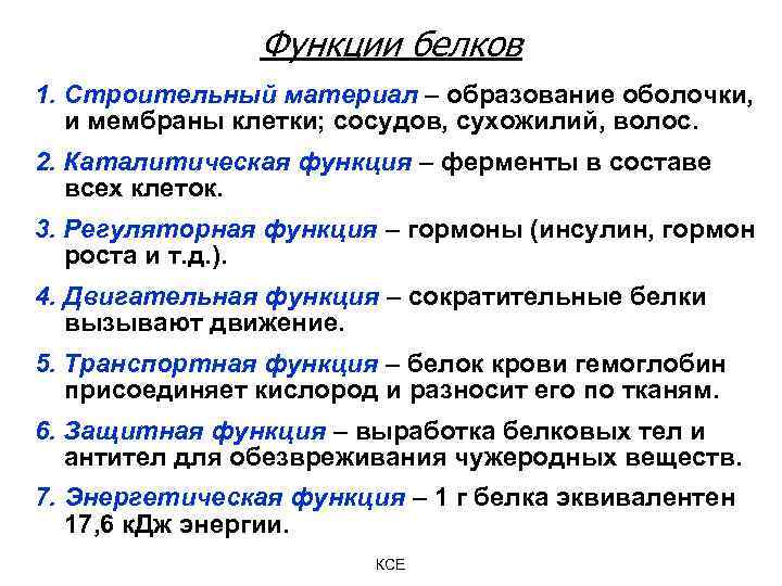 Функции белков 1. Строительный материал – образование оболочки, и мембраны клетки; сосудов, сухожилий, волос.