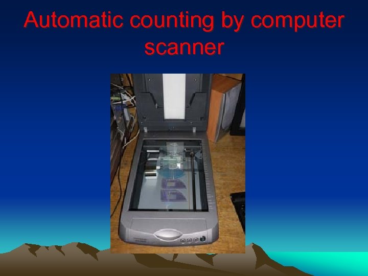 Automatic counting by computer scanner 