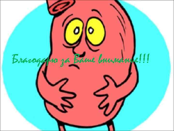 Благодарю за Ваше внимание!!! 