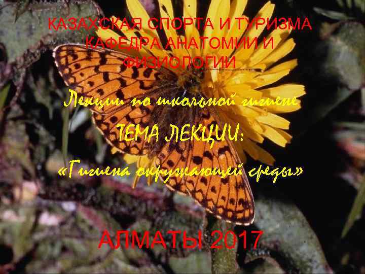 КАЗАХСКАЯ СПОРТА И ТУРИЗМА КАФЕДРА АНАТОМИИ И ФИЗИОЛОГИИ Лекции по школьной гигиене ТЕМА ЛЕКЦИИ:
