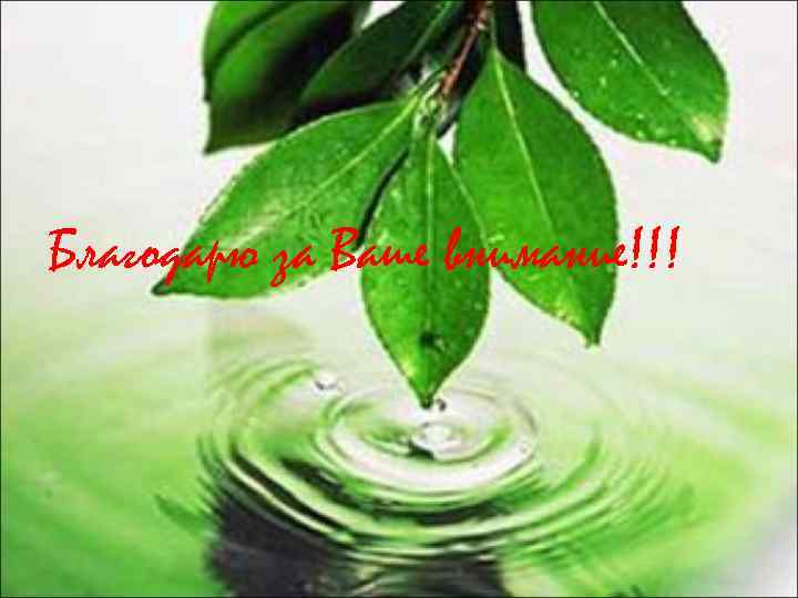 Благодарю за Ваше внимание!!! 